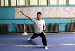 三路长拳教学视频,掌握传统武术精髓，提升自我防卫能力